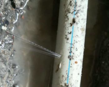 肇源卫生间测漏水多少钱