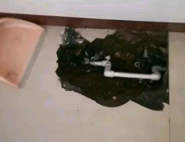 肇源卫生间测漏水多少钱